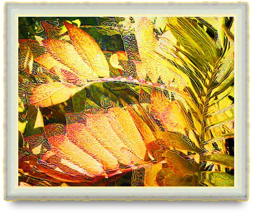 Digital image of the golden leaves of the coontie plant.