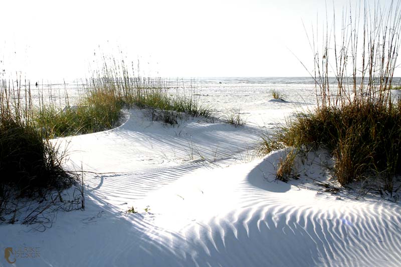 Seaoats are the builders of dunes.