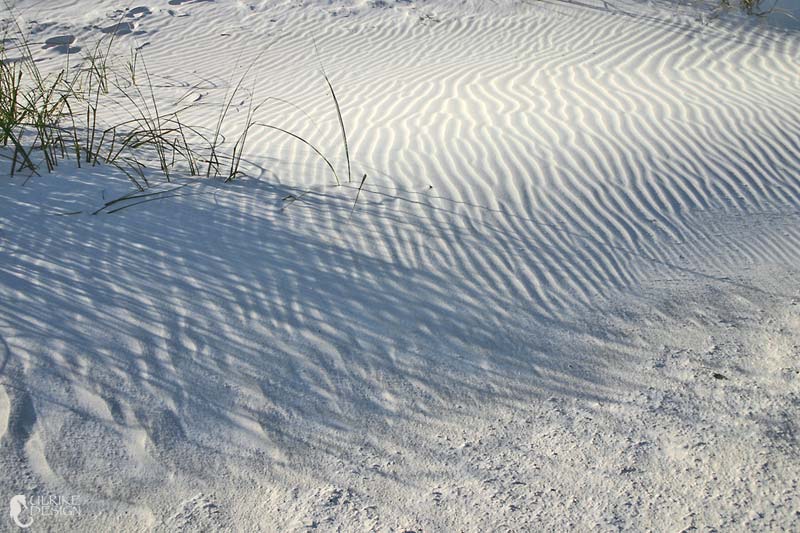 Delicate shadows of the seaoats.