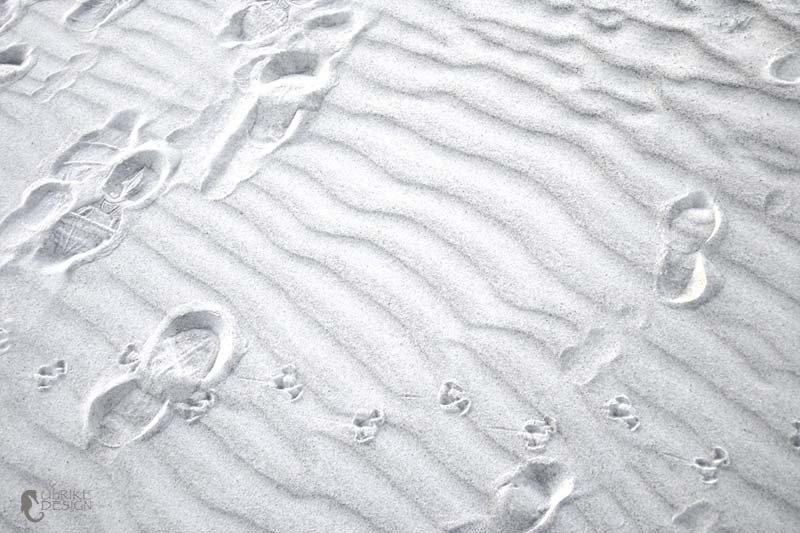 Rippled sugar sand with tracks of human kind and sea gull.