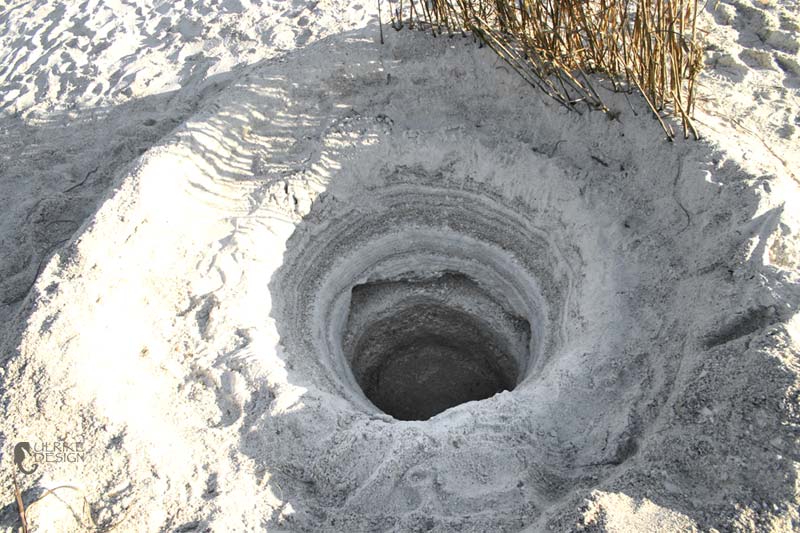 A deep hole showing the layers of sand and shells.