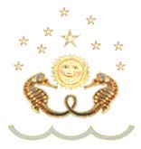 Symbol of waves, stars, sun, seahorses.