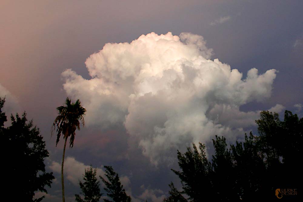 A big puffy storm cloud.