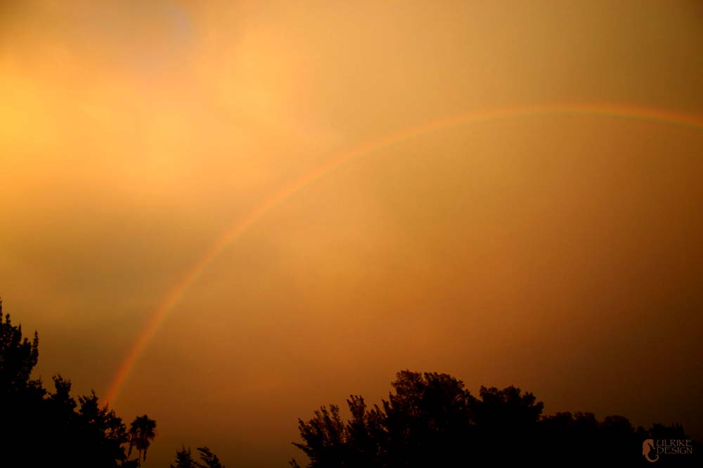 A rainbow set against a reflecting sunset sky in the east.
