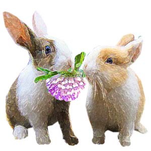 Rabbits chewing clover